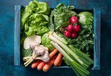 How to Start a Garden with Vegetable Scraps